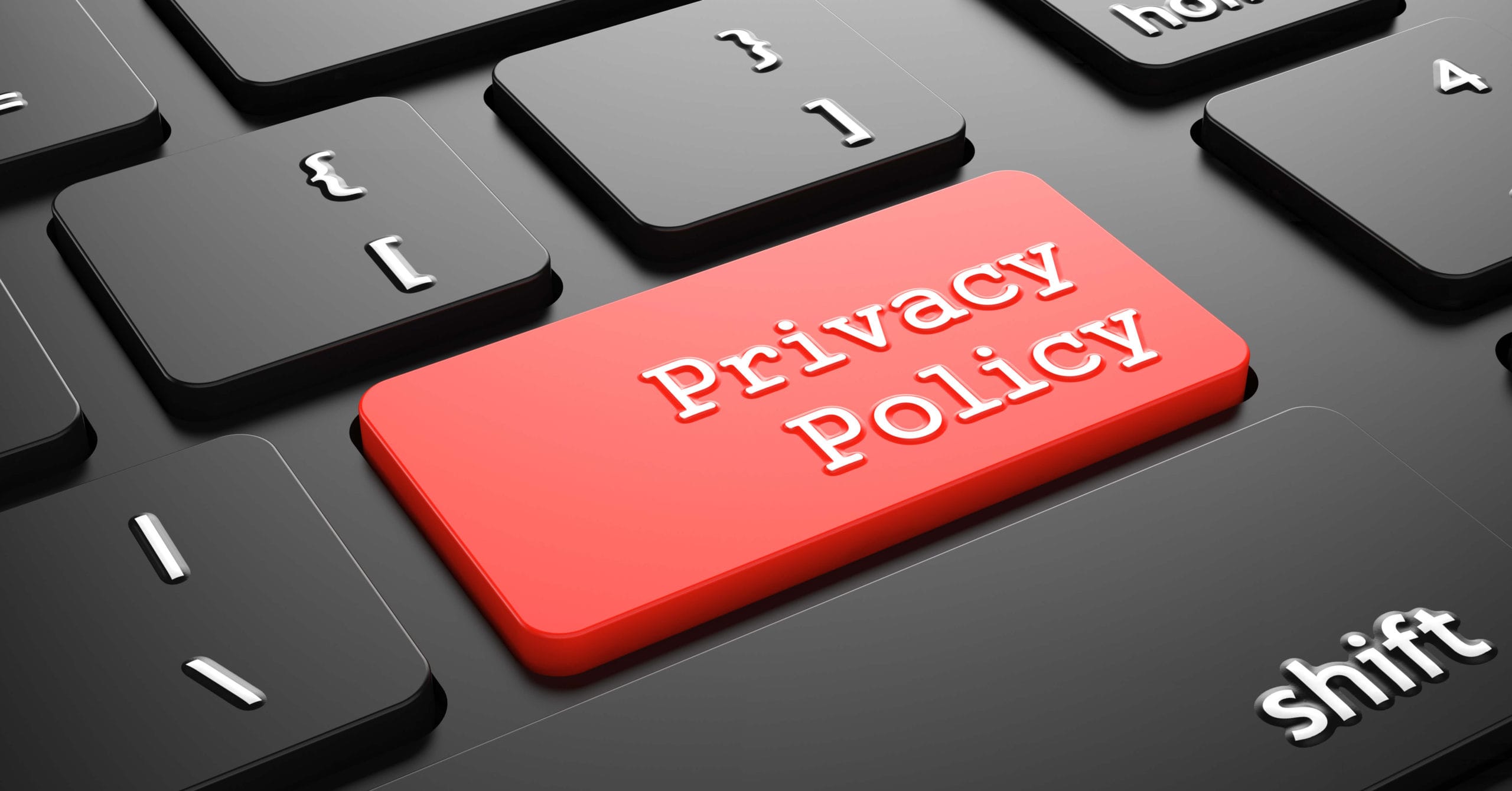 privacy policy privacy policy